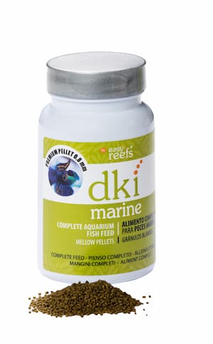 DKI Marine