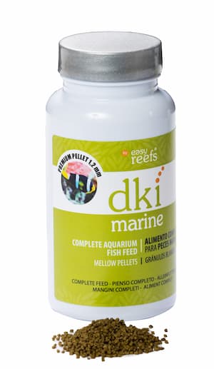 DKI Marine